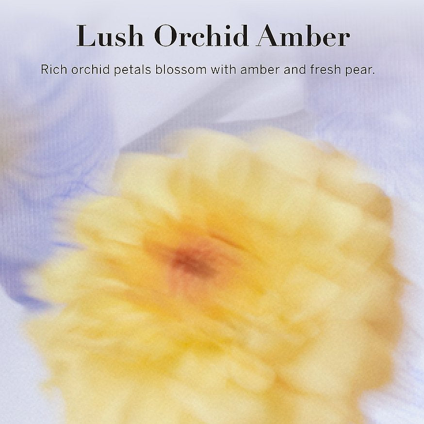 VICTORIA'S SECRET - Lush Orchid Amber Mist